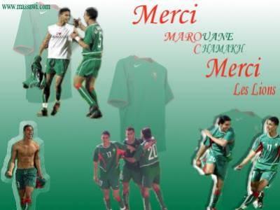 *+*+*+*+*+*+*+mIcCi cHaMakh Et LeS LiOnS*+*+*+*+*+*+*+*
